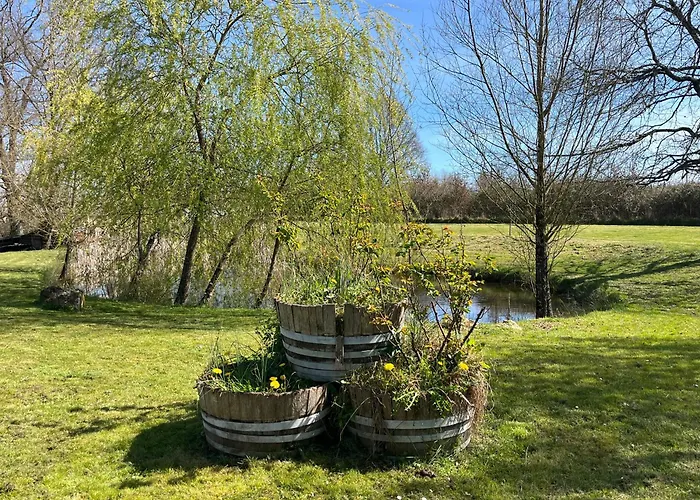 Le Jardin D'elusa Eauze