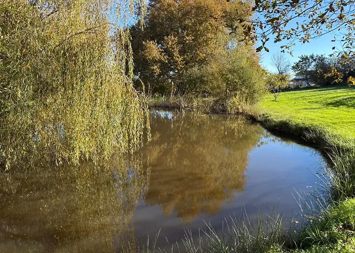 Le Jardin D'elusa Maison d'hôtes