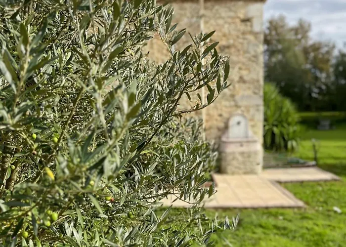 Le Jardin D'elusa Eauze